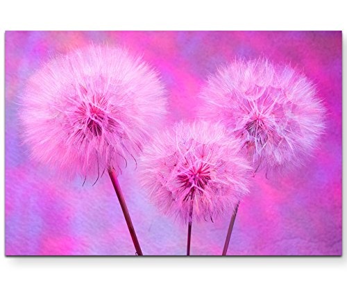 Abstrakte Pusteblumen in Pink - Leinwandbild 120x80cm