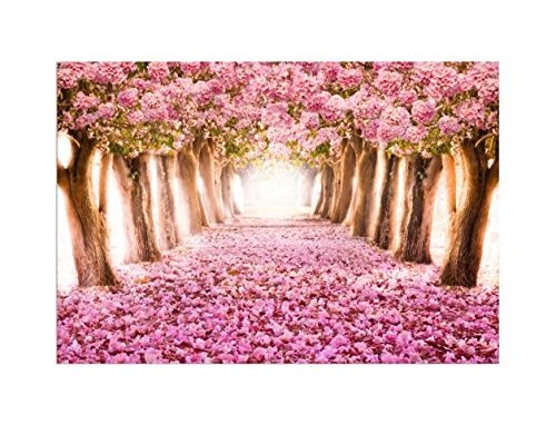 deinebilder24 Leinwandbild - 80 x 120 cm - Pink Flower Trees Japanische Kirschblüte Rosa
