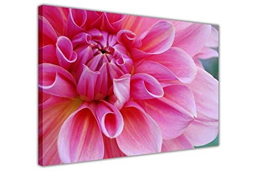 Pink Blossom Blume auf gerahmter Leinwand Bilder-Floral,...