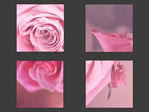 Gallery of Innovative Art Premium Kunstdruck Wand-Bild – Two Pink Roses – 80x80cm Leinwand-Druck in deutscher Marken-Qualität – Leinwand-Bilder auf Holz-Keilrahmen als moderne Wanddekoration