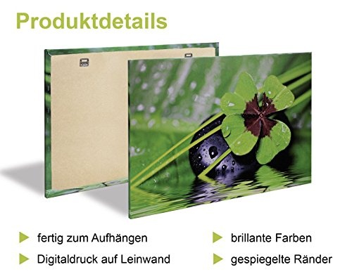 Artland Leinwand-Bild fertig aufgespannt auf Holzfaserplatte mit Motiv Ralph Petty Holzapfelblüte 1 Botanik Blumen Blüte Fotografie Pink/Rosa 40 x 120 x 1,2 cm A6LB