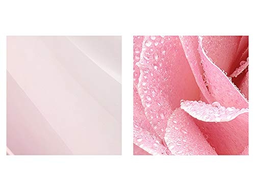 Bilder Blumen Rose Wandbild 150 x 60 cm Vlies - Leinwand Bild XXL Format Wandbilder Wohnzimmer Wohnung Deko Kunstdrucke Pink 5 Teilig - MADE IN GERMANY - Fertig zum Aufhängen 201056a
