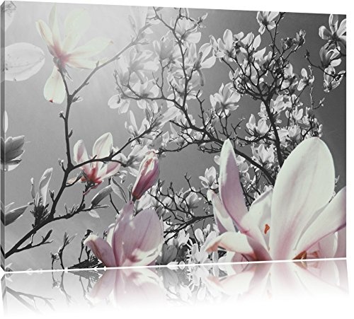 schöne Magnolie Blüten schwarz/weiß Format: 100x70 auf Leinwand, XXL riesige Bilder fertig gerahmt mit Keilrahmen, Kunstdruck auf Wandbild mit Rahmen, günstiger als Gemälde oder Ölbild, kein Poster oder Plakat