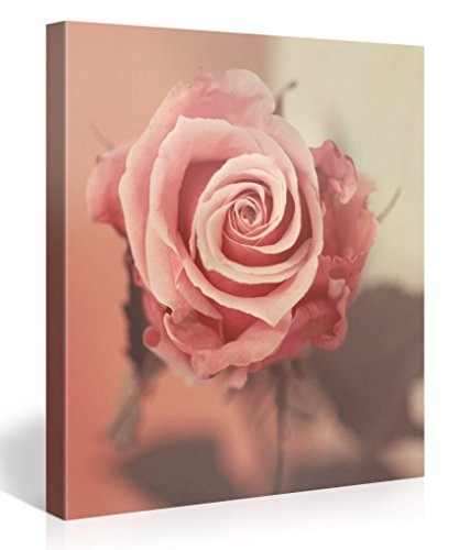 Gallery of Innovative Art - Pink Rose - 80x80cm Premium Kunstdruck Wand-Bild - Leinwand-Druck in deutscher Marken-Qualität - Leinwand-Bilder auf Holz-Keilrahmen als moderne Wanddekoration