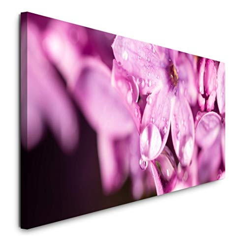Paul Sinus Art GmbH Blumen in pink 120x 50cm Panorama Leinwand Bild XXL Format Wandbilder Wohnzimmer Wohnung Deko Kunstdrucke
