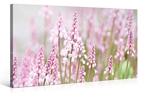 Gallery of Innovative Art - Field Of Pink Flowers - 100x50cm Premium Kunstdruck Wand-Bild - Leinwand-Druck in deutscher Marken-Qualität - Leinwand-Bilder auf Holz-Keilrahmen als moderne Wanddekoration
