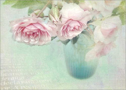 Posterlounge Leinwandbild 40 x 30 cm: pink Roses von Lizzy Pe - fertiges Wandbild, Bild auf Keilrahmen, Fertigbild auf echter Leinwand, Leinwanddruck
