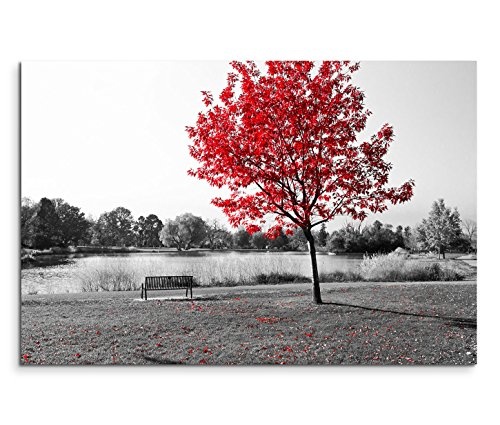 120x80cm Leinwandbild auf Keilrahmen Park Bank Teich schwarz weiß Baum rote Blätter Wandbild auf Leinwand als Panorama