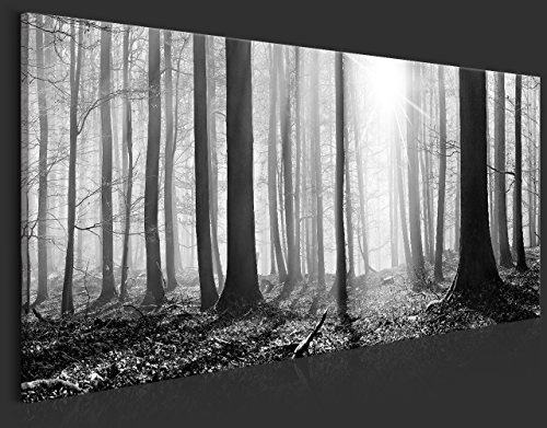 murando - Bilder Wald 135x45 cm Vlies Leinwandbild 1 TLG Kunstdruck modern Wandbilder XXL Wanddekoration Design Wand Bild - Waldlandschaft Natur Panorama Baum schwarz-weiß c-B-0235-b-a