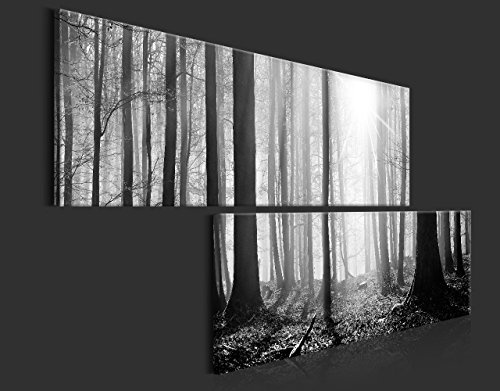 murando - Bilder Wald 180x90 cm Vlies Leinwandbild 2 Teilig Kunstdruck modern Wandbilder XXL Wanddekoration Design Wand Bild - Waldlandschaft Natur Panorama Baum schwarz grau weiß c-B-0235-b-r
