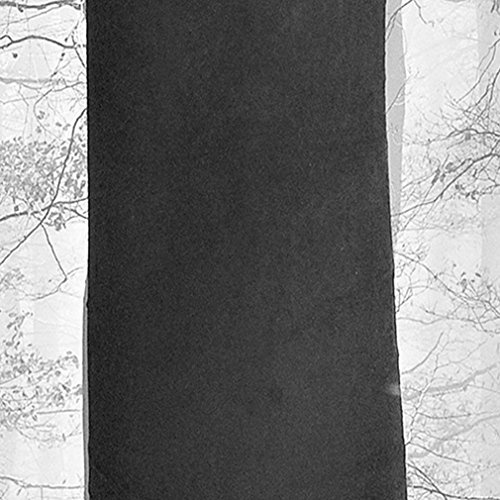 decomonkey Bilder Wald 200x80 cm XXL 5 Teilig Leinwandbilder Bild auf Leinwand Vlies Wandbild Kunstdruck Wanddeko Wand Wohnzimmer Wanddekoration Deko Natur Landschaft schwarz weiß
