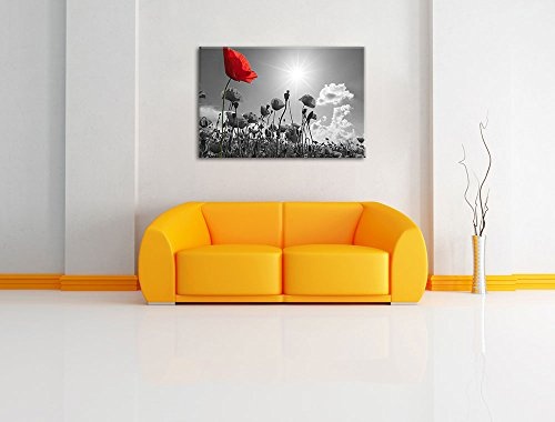 wunderschönes Mohnblumenfeld im Sommer schwarz/weiß Format: 120x80 auf Leinwand, XXL riesige Bilder fertig gerahmt mit Keilrahmen, Kunstdruck auf Wandbild mit Rahmen, günstiger als Gemälde oder Ölbild, kein Poster oder Plakat