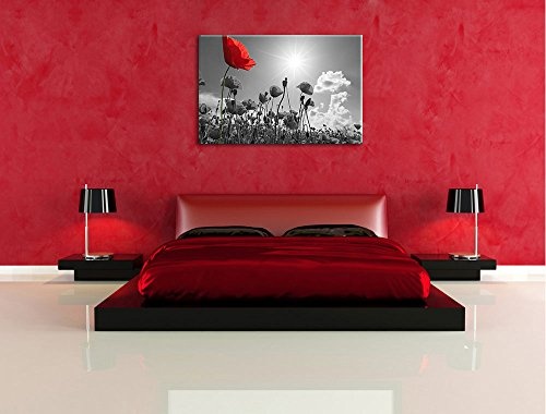 wunderschönes Mohnblumenfeld im Sommer schwarz/weiß Format: 120x80 auf Leinwand, XXL riesige Bilder fertig gerahmt mit Keilrahmen, Kunstdruck auf Wandbild mit Rahmen, günstiger als Gemälde oder Ölbild, kein Poster oder Plakat