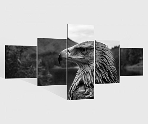 Leinwandbild 5 tlg. 200cmx100cm Adler Portrait Vogel Raubvogel schwarz weiß Bilder Druck auf Leinwand Bild Kunstdruck mehrteilig Holz 9YA1227, 5Tlg 200x100cm:5Tlg 200x100cm