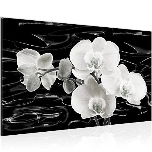 Runa Art Bild Blumen Orchidee Wandbild Vlies - Leinwand...