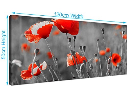Wallfillers Groß Schwarz und Weiß Leinwand Art of rot Mohn – günstige Blume Leinwand Bilder – 1135