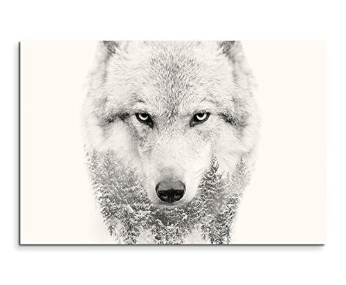 Sinus Art Wandbild 120x80cm Bild - Wolfskopf mit Tannenwald