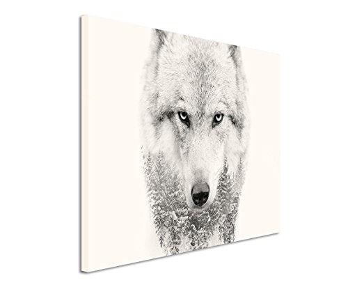 Sinus Art Wandbild 120x80cm Bild - Wolfskopf mit Tannenwald