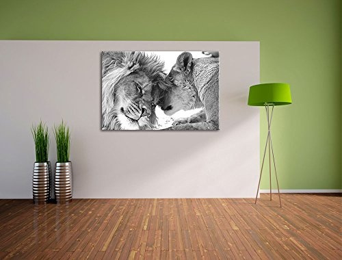 Bezauberndes kuschelndes Löwenpaar schwarz/weiß Format: 120x80 auf Leinwand, XXL riesige Bilder fertig gerahmt mit Keilrahmen, Kunstdruck auf Wandbild mit Rahmen, günstiger als Gemälde oder Ölbild, kein Poster oder Plakat