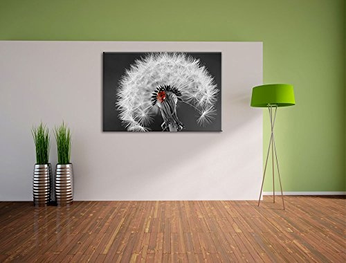 schöner Marienkäfer auf Pusteblume schwarz/weiß Format: 100x70 auf Leinwand, XXL riesige Bilder fertig gerahmt mit Keilrahmen, Kunstdruck auf Wandbild mit Rahmen, günstiger als Gemälde oder Ölbild, kein Poster oder Plakat