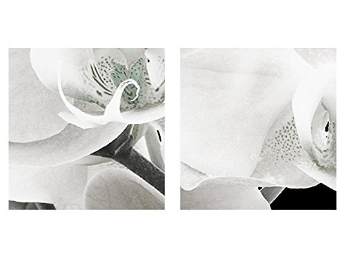 Bilder Blumen Orchidee Wandbild 200 x 100 cm Vlies - Leinwand Bild XXL Format Wandbilder Wohnzimmer Wohnung Deko Kunstdrucke Schwarz Weiß 5 Teilig - MADE IN GERMANY - Fertig zum Aufhängen 203251a