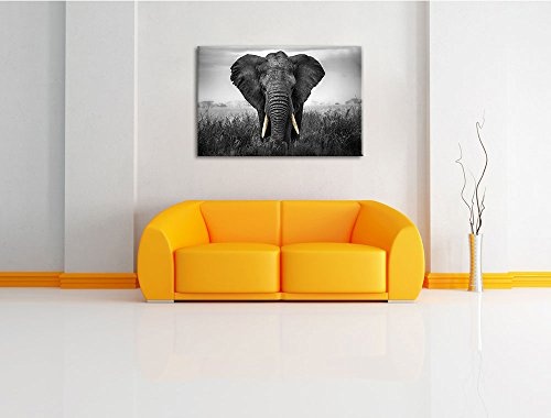 prachtvoller Elefant schwarz/weiß Format: 80x60 auf Leinwand, XXL riesige Bilder fertig gerahmt mit Keilrahmen, Kunstdruck auf Wandbild mit Rahmen, günstiger als Gemälde oder Ölbild, kein Poster oder Plakat