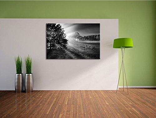 schöne Lichtung im Wald schwarz/weiß Format: 100x70 auf Leinwand, XXL riesige Bilder fertig gerahmt mit Keilrahmen, Kunstdruck auf Wandbild mit Rahmen, günstiger als Gemälde oder Ölbild, kein Poster oder Plakat