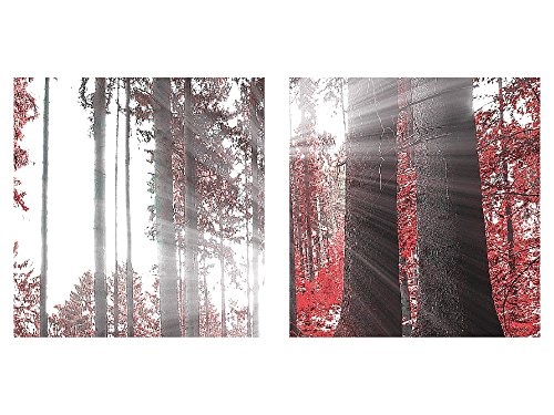 Bilder Wald Landschaft Wandbild 100 x 40 cm Vlies - Leinwand Bild XXL Format Wandbilder Wohnzimmer Wohnung Deko Kunstdrucke Rot 1 Teilig - Made IN Germany - Fertig zum Aufhängen 503812c