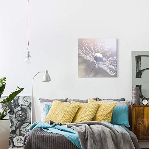 Paul Sinus Art Leinwandbilder | Bilder Leinwand 60x60cm Pusteblume mit Wassertropfen