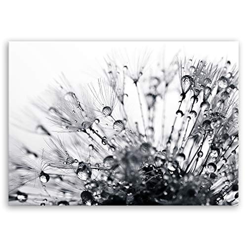 ge Bildet® hochwertiges Leinwandbild Pflanzen Bilder - Another World - schwarz weiß - Blumen Natur Pusteblume - 70 x 50 cm einteilig 2206 H