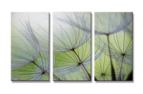 160 x 90 cm Visario 1167 Bilder und Kunstdrucke auf Leinwand Bild Blumen Pusteblume drei Teile