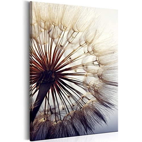 murando - Bilder Pusteblume 40x60 cm Vlies Leinwandbild 1 TLG Kunstdruck modern Wandbilder XXL Wanddekoration Design Wand Bild - Blumen b-B-0260-b-b