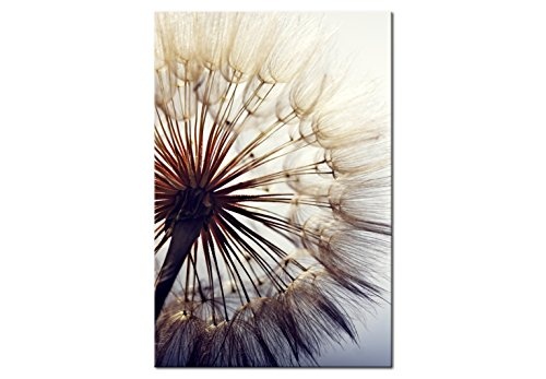 murando - Bilder Pusteblume 40x60 cm Vlies Leinwandbild 1 TLG Kunstdruck modern Wandbilder XXL Wanddekoration Design Wand Bild - Blumen b-B-0260-b-b