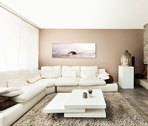 Paul Sinus Art 150x50cm Leinwandbild auf Keilrahmen Pusteblume Wassertropfen Nahaufnahme abstrakt Wandbild auf Leinwand als Panorama