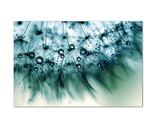 120x80cm - Fotodruck auf Leinwand und Rahmen Löwenzahn Pusteblume Wassertropfen - Leinwandbild auf Keilrahmen modern stilvoll - Bilder und Dekoration