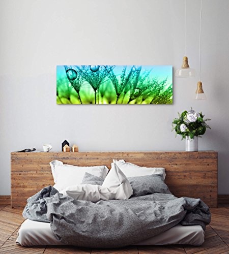 Paul Sinus Art Leinwandbilder | Bilder Leinwand 120x40cm Pusteblume mit Tautropfen - Nahaufnahme