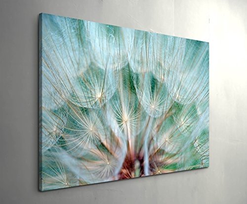 Paul Sinus Art Leinwandbilder | Bilder Leinwand 120x80cm Pusteblume – Nahaufnahme