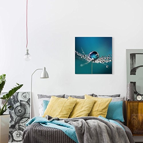 Paul Sinus Art Leinwandbilder | Bilder Leinwand 60x60cm Wassertropfen auf Einer Pusteblume