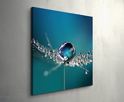 Paul Sinus Art Leinwandbilder | Bilder Leinwand 60x60cm Wassertropfen auf Einer Pusteblume