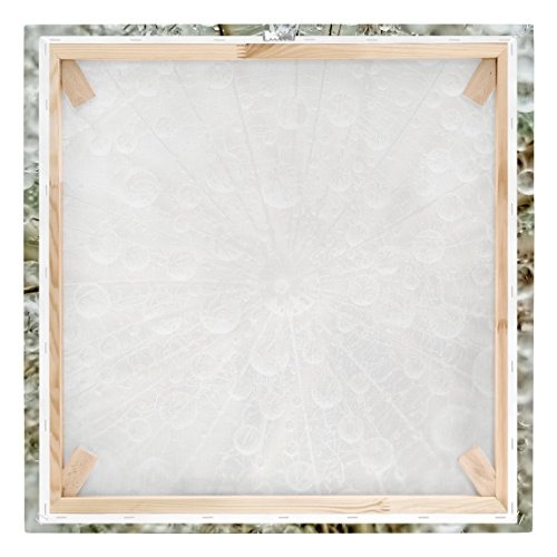 Bilderwelten Leinwandbild - Pusteblume im Herbst - Quadrat 1:1, 70cm x 70cm