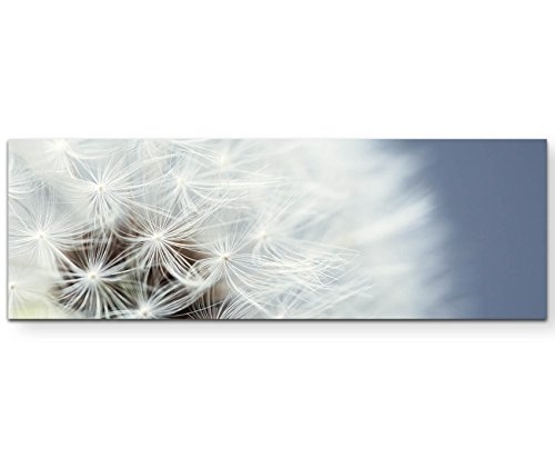 Paul Sinus Art Leinwandbilder | Bilder Leinwand 120x40cm Pusteblume - Nahaufnahme