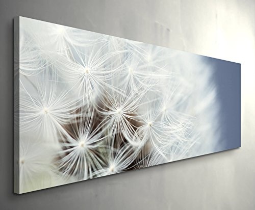 Paul Sinus Art Leinwandbilder | Bilder Leinwand 120x40cm Pusteblume - Nahaufnahme