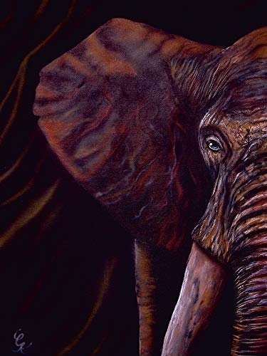 Artland Qualitätsbilder I Bild auf Leinwand Leinwandbilder Wandbilder 45x60 cm Tiere Wildtiere Elefant Malerei Lila F1BN Elefant