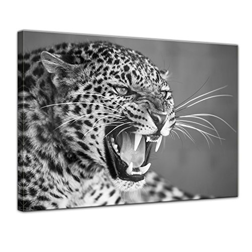 Keilrahmenbild Leopard - schwarz weiß - 120x90 cm...