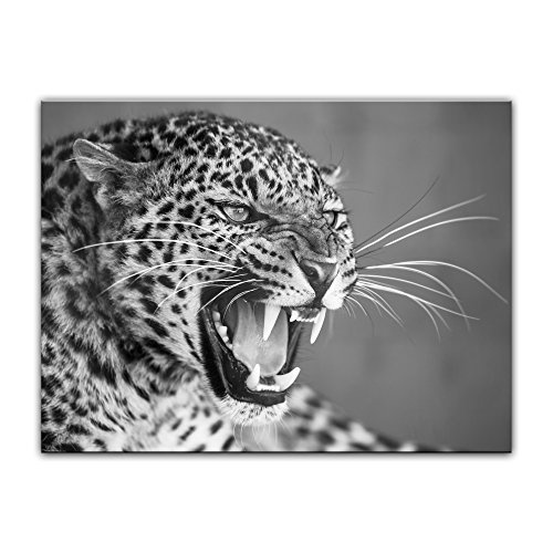 Keilrahmenbild Leopard - schwarz weiß - 120x90 cm...