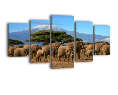 Leinwandbild Kilimandscharo LW84 Wandbild, Bild auf Leinwand, 5 Teile, 210 x 100 cm, Kunstdruck Canvas, XXL Bilder, Keilrahmenbild, fertig aufgespannt, Bild, Holzrahmen, Berg, Elefant, Afrika