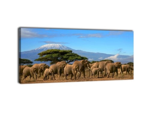 Leinwandbild Panorama Nr. 84 Kilimandscharo 100x40cm, Keilrahmenbild, Bild auf Leinwand, Berg Elefant Afrika