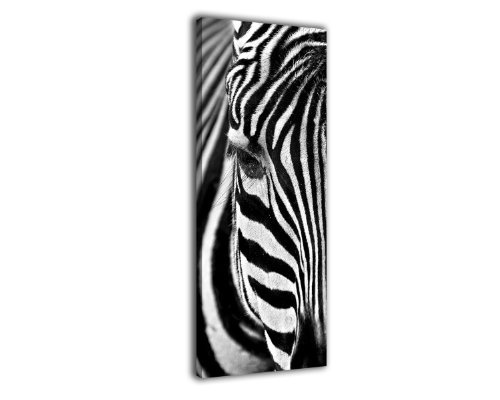 Leinwandbild Panorama Nr. 54 Zebra 100x40cm, Keilrahmenbild, Bild auf Leinwand, Kunstdruck schwarz weiß Afrika