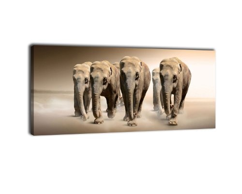 Leinwandbild Panorama Nr. 189 Elefantengruppe 100x40cm, Keilrahmenbild, Bild auf Leinwand, Elefanten Afrika Steppe
