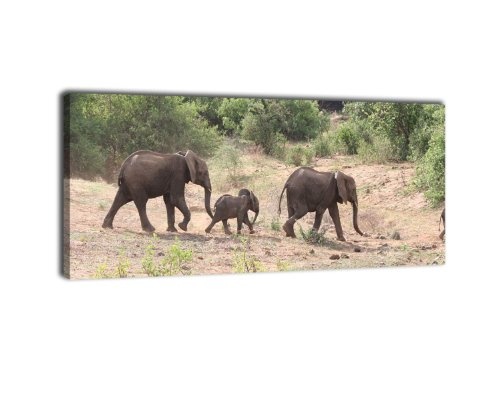 Leinwandbild Panorama Nr. 8 Elefantenfamilie 100x40cm, Keilrahmenbild, Bild auf Leinwand, Kunstdruck Afrika